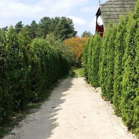 Brochów Wyspa Kampinos المظهر الخارجي الصورة