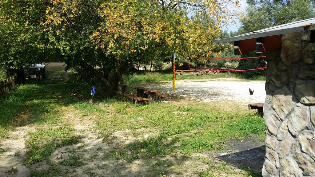 Brochów Wyspa Kampinos المظهر الخارجي الصورة