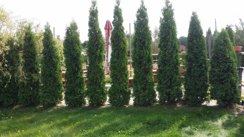 Brochów Wyspa Kampinos المظهر الخارجي الصورة
