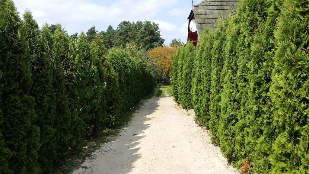 Brochów Wyspa Kampinos المظهر الخارجي الصورة